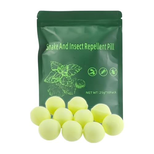 ֋쏜 Op,10 h p | gїp Ԍʎ tFX |[` v[ 뉀 K[W { Ő Lv Ɖp 