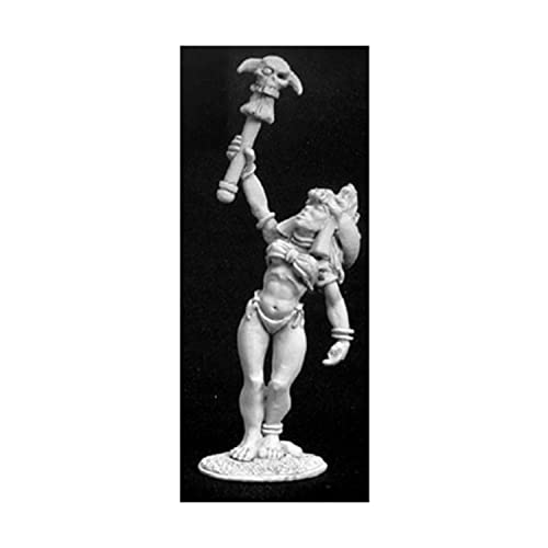 Rowena Barbarian Shaman figurine avec bâton mystique et détails chamaniques