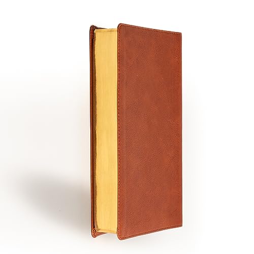 Holman Bibles 23801X Nasb Large Print Personal Size Reference Bible thumb #5