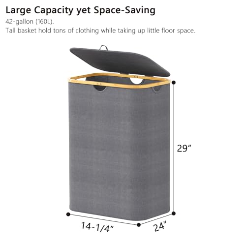 SpaceAid Double Laundry Hamper 2 Section with Lid and Removable Laundry Bags, 160L Clothes Basket with Bamboo Handles, Large Collapsible Hamper for Bedroom, Bathroom, Dorm, Laundry Room - Grey