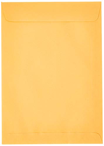 Scrity SKO025, Envelope Saco, Multicolor, Pacote de 250