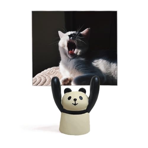 Support de photo chat bâilleur pour photo de panda - Idée cadeau anniversaire