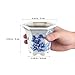 Toddmomy Blue and White Planter: Succulent Pots Ceramic Flower Pot Chinese Style Porcelain Planter Container for Office Desk Balcony Outdoor Garden
