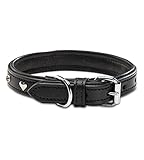 Jack & Russell Hundehalsband Leder schwarz mit Applikationen Herz & Blume – Doppellagiges Echt-Leder-Hunde Halsband Coer (M (34.5-43.0))