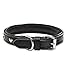 Jack & Russell Hundehalsband Leder schwarz mit Applikationen Herz & Blume – Doppellagiges Echt-Leder-Hunde Halsband Coer (M (34.5-43.0))