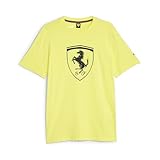 Großes, bedrucktes Scuderia Ferrari-Schild