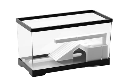 ɐBp̑召̐ B̓oRvbgtH[ J̐Ԍiϐ rO[̉ƒpvX`bN (30x18.5x18cm,ubNyeXtB^[pbP[Wz)