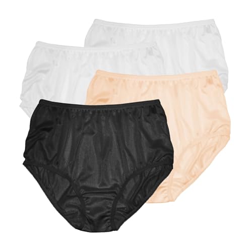 Image of Teri Women's 331 Plain Jane Classic Nylon Silky-Smooth Lightweight Breathable Full Coverage Brief Panty - 4 Pack