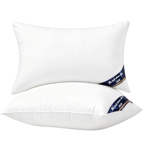 CCXXYGWJ Almohada antironquidos, Almohada ortopédica para Dormir con Soporte Cervical para Personas Que Duermen de Lado y Boca Arriba, Almohadas con Rebote para la Espalda, Paquete de 2