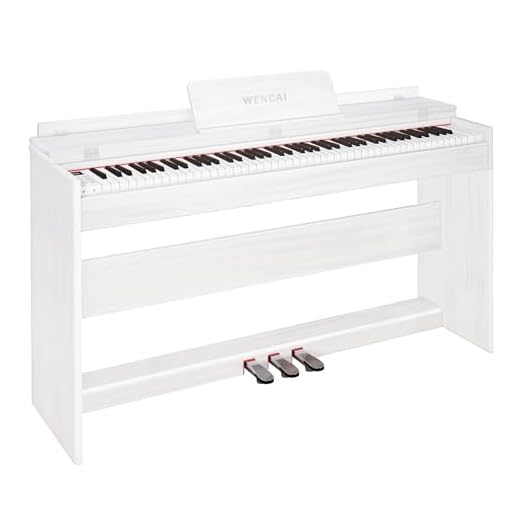 WENCAI Digital Piano 88 Key Fully Weighted Keyboard, White