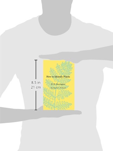 How To Identify Plants - Image 3