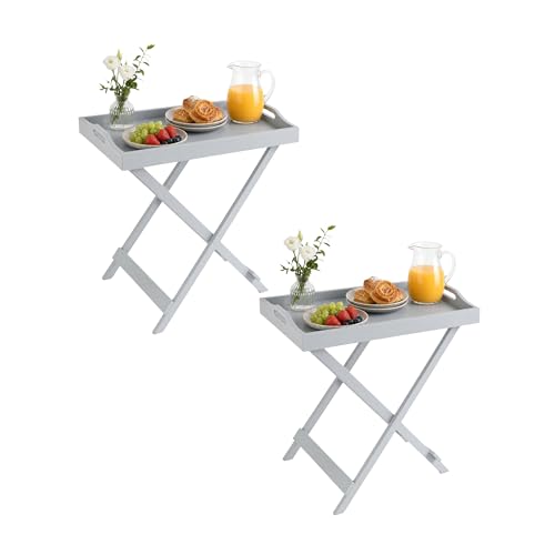 Lavish Home Folding TV Tray Table with Removable Tray Top Set of 2, Gray