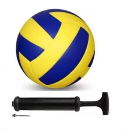 HASS Classic Volleyball with Pump (B0CZXRCWP9) Amazon Price History, Amazon Price Tracker