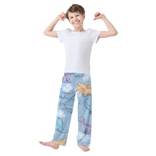 ZZXXB Cartoon Dinosaurs Print Boys Long Pants Soft Trousers Elastic Waist Kids Lounge Bottoms with Pockets S-XL3