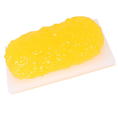 VDLLQYN, Modelo de grasa de 5 libras   Modelo de grasa anatómica de 5 libras   for mantenerse en forma, recordatorio de motivación for perder peso, nutricionista, curso de ciencias anatómicas ，Modelos