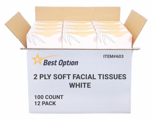 Soft 2-Ply Facial Tissue, White, 100-Count Box | Professional, Gentle and Durable | Great for...