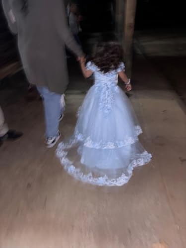 Lace Appliques Flower Girl Dress - First Communion Dresses Tulle Princess Dresses Ball Gown3