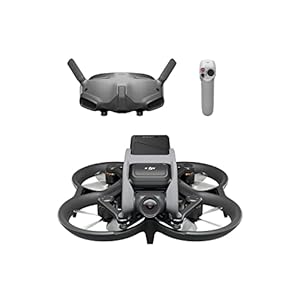 DJI Avata Pro-View Combo (DJI Goggles 2) - FPV-Drohne Quadrokopter mit stabilisiertem 4K Video, superweitem 155° Sichtfeld, integriertem Propellerschutz