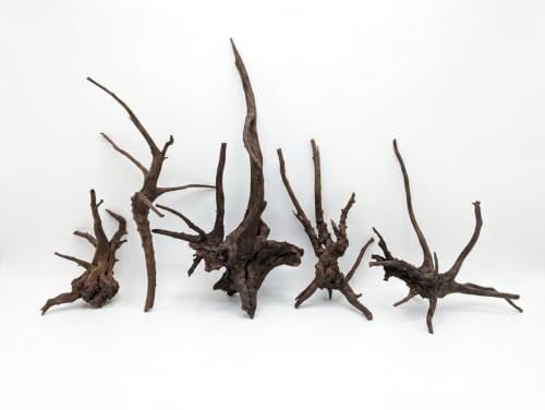 NaturKultDeko by Sophie Premium-Set Rote Moorwurzel 5-teilig (15-25 cm) Spiderwood Treibholz Wurzelholz für Aquarium (Dunkelbraun)