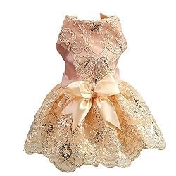Vestido de encaje para perro color champagne talla S miniatura 3