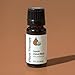 Plant Therapy Organic Clove Bud Essential Oil 100% Pure, USDA Certified Organic, Undiluted, Natural Aromatherapy, Therapeutic Grade 10 mL (⅓ oz)