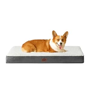 EHEYCIGA Panier Chien Orthopedique, Coussin Chien Dehoussable Lit pour Chien Lavable, Tapis Epais pour Chien Grande Taille, Matelas Chien, Beige, 89x58x9cm