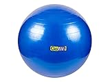 GoFit