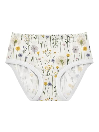 ZZKKO Farm Dandelion Floral Girls Underwear Toddler Panties for Girls Comfort Brief Size 2T