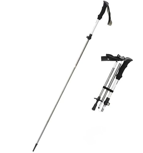 Tasydi gbLO|[ oR XgbN oR ܂肽ݎ y x ~ yʃA~ oRpXeBbN [P[Xtit jp k Lbv nCLO RpNg  (D)