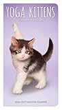 Yoga Kittens OFFICIAL | 2026-2027 3.5 x 6.5 Inch Two Year Monthly Pocket Planner Calendar | BrownTrout | Animals Humor Cats Feline Pets