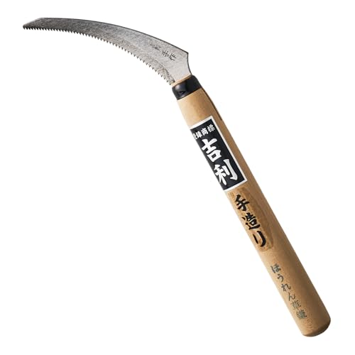 g ق񑐊 葢 Y { El ق񑐁A؁AteȂǂ̎n 