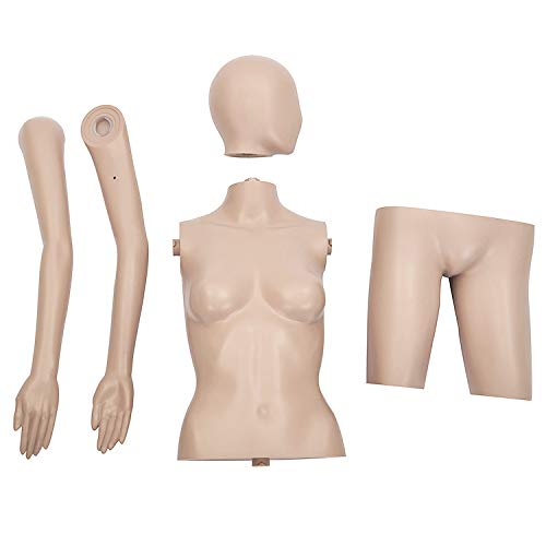 女性用マネキン トルソー 約45×45×H160cm 人形 等身大 Amazon.co.jp: [