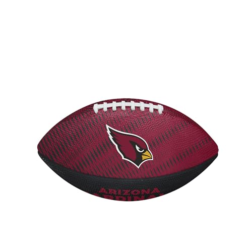 Image of WILSON Unisex NFL Team Tailgate Footballs