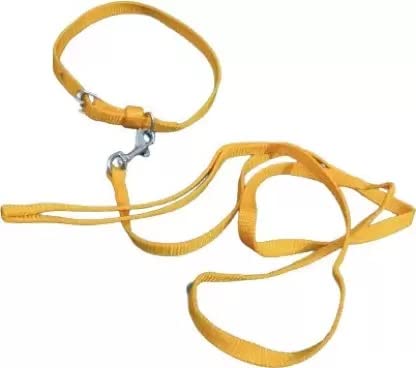 Kapoor pets™ Dog Collar & Leash (Small, Yellow) Dog leashes 0.5 inch Small Dogs/Cat (B0B1V733F2) Amazon Price History, Amazon Price Tracker