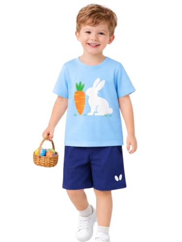 Image of HILEELANG Toddler Boy Summer Outfit Set 2 Piece Short Sleeve T Shirt and Short Soft Breathable Cotton Clothing Sets 2-7T