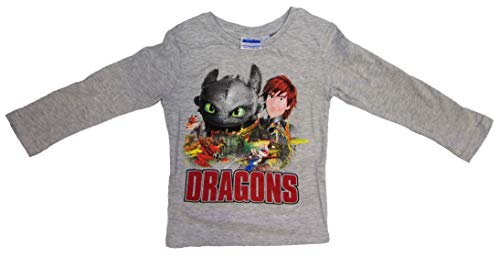 Preisvergleich Produktbild Dragons "Drachenzähmen leicht gemacht Langarmshirt (98 - ca. 3 Jahre, grau)