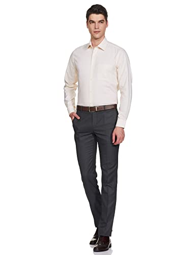 Image of Raymond Men's Formal Shirt