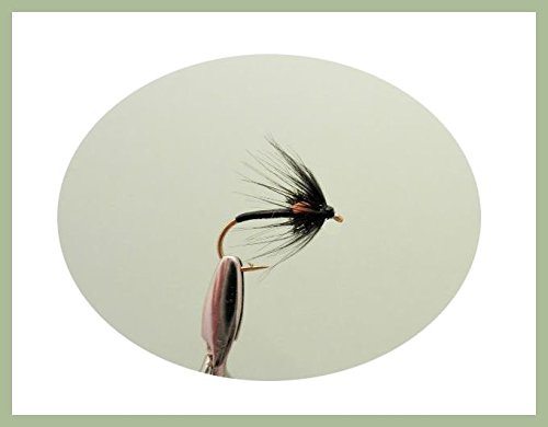 Mouche Pêche Or Flash Holographique Buzzers Huit Paquet Truite