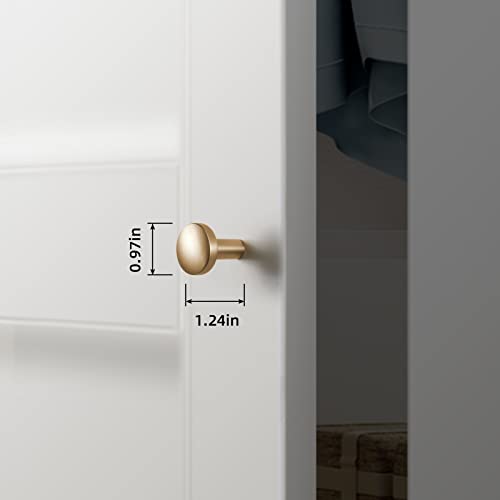 Goo-Ki Champagne Bronze Kitchen Cabinet Handles,Contemporary Brushed,1 Inches Diameter,Knob Plus (6 Pack) #TOP1