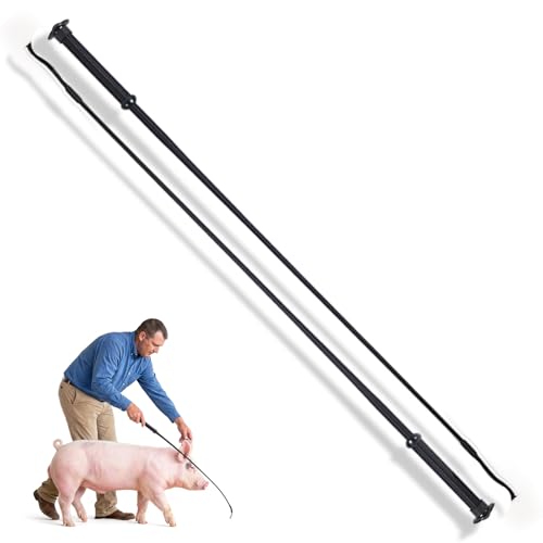 Lontcs 2 Pcs Black Pig Show Whip with Chrome Tip 36 inch Professional Dressage & Lunge Whip for Horse Show Ring Leather Handle Equestrian Riding Crop for Training & Showing