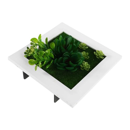 Abaodam Cadre Photo Murale Plantes Artificielles Décoration Murale Succulente Pour Intérieur Cadre Végétal Élégant Et Moderne Pour Salon Et Bureau