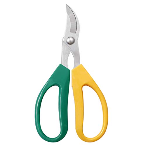 Elegant Essence Stainless Steel Garden Pruning Scissor for Flower Arrangement 5cm Curved