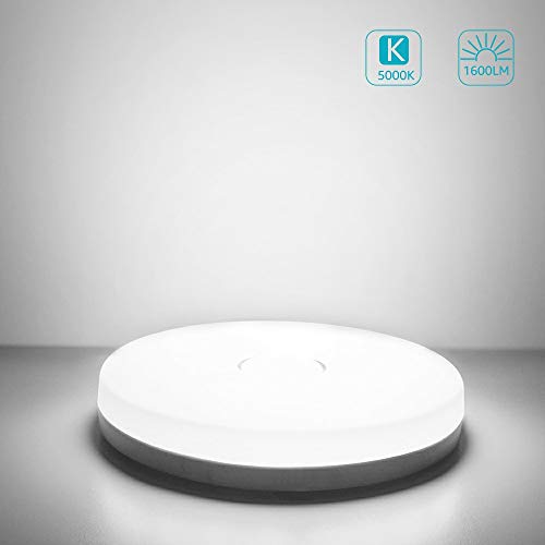 Olafus 18W Plafoniera LED 5000K 1600LM IP54 Waterproof, Plafoniera LED Soffitto Rotonda 25cm Luce Bianca Fredda, Plafoniera Moderna e Sottile di PC Materiale, CRI 90+ Plafoniera Bagno Cucina