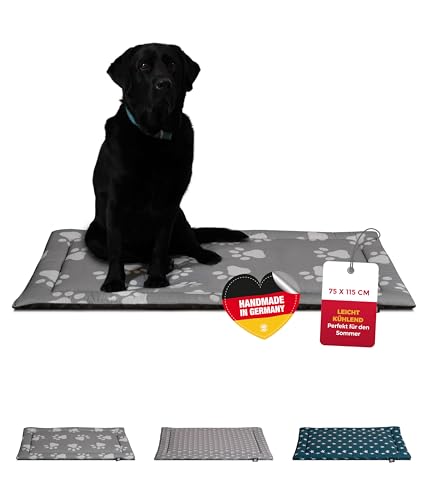 HS-Hundebett® Sommerdecke Baumwolle mit Füllung und Antirutsch L (75x115 cm) – Gepolsterte Hundedecke für den Sommer – Waschbar & Langlebig – Leichte Hunde Sommerdecke – Pfote Anthrazit, Made in DE