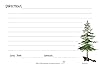 Big Bear Country 4x6 Recipe Card, Pacific Northwest, Evergreens, Nature, Birthdays, Mother's Day (Pack of 10) #2
