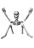 Fun Costumes 5 Piece Skeleton Ground Breaker Yard Prop Set | Skeleton Decorations Standard