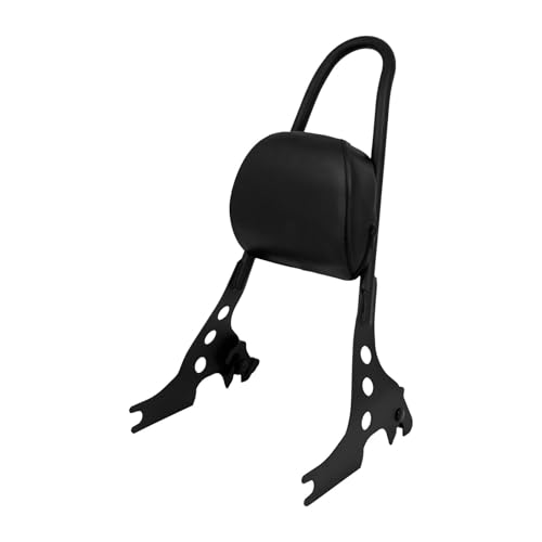 Appui-dos passager arrière amovible pour voyager confortablement à deux en Sportster 48