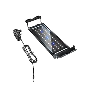 Honpal Luce per acquario, a spettro completo, con staffe estensibili, adatto per acquari d’acqua dolce/marini e vasche piantate (30-50cm)