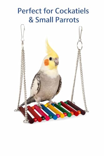Image of KSK Bird Swing for Cage | Colorful Wooden Hanging Parrot Swing Perch | Strong Steel Chain Bird Toy for Budgies, Lovebirds, Cockatiels & Small Parrots