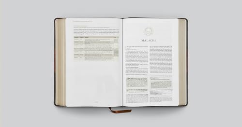 Image of ESV Men's Study Bible (TruTone, Forest /Tan, Trail Design): Holy Bible, English Standard Version